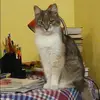Отзыв от Дарья Суркова